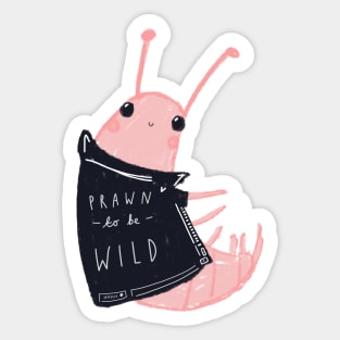 Prawn To Be Wild! Sticker